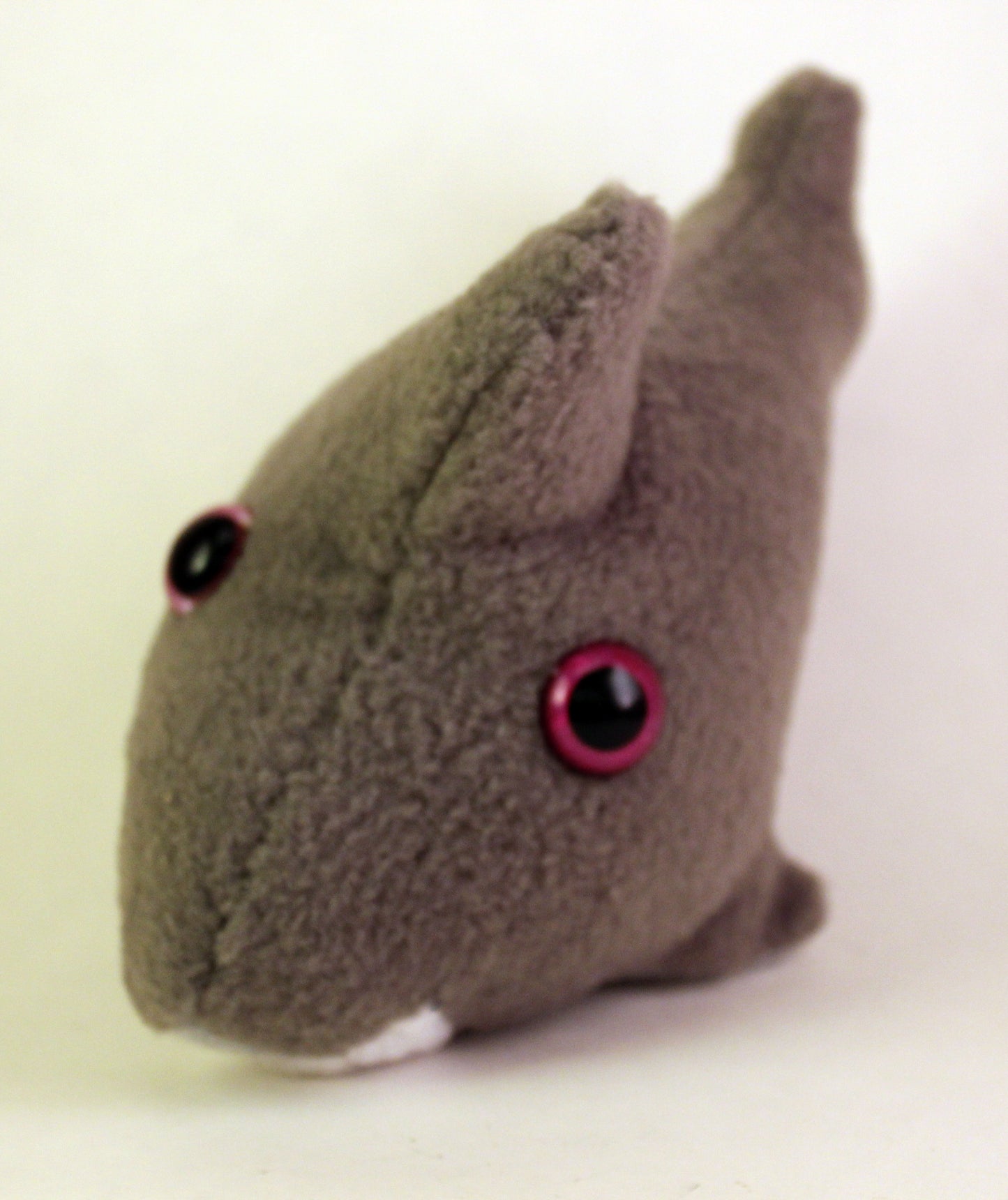 Frightdorable Shark