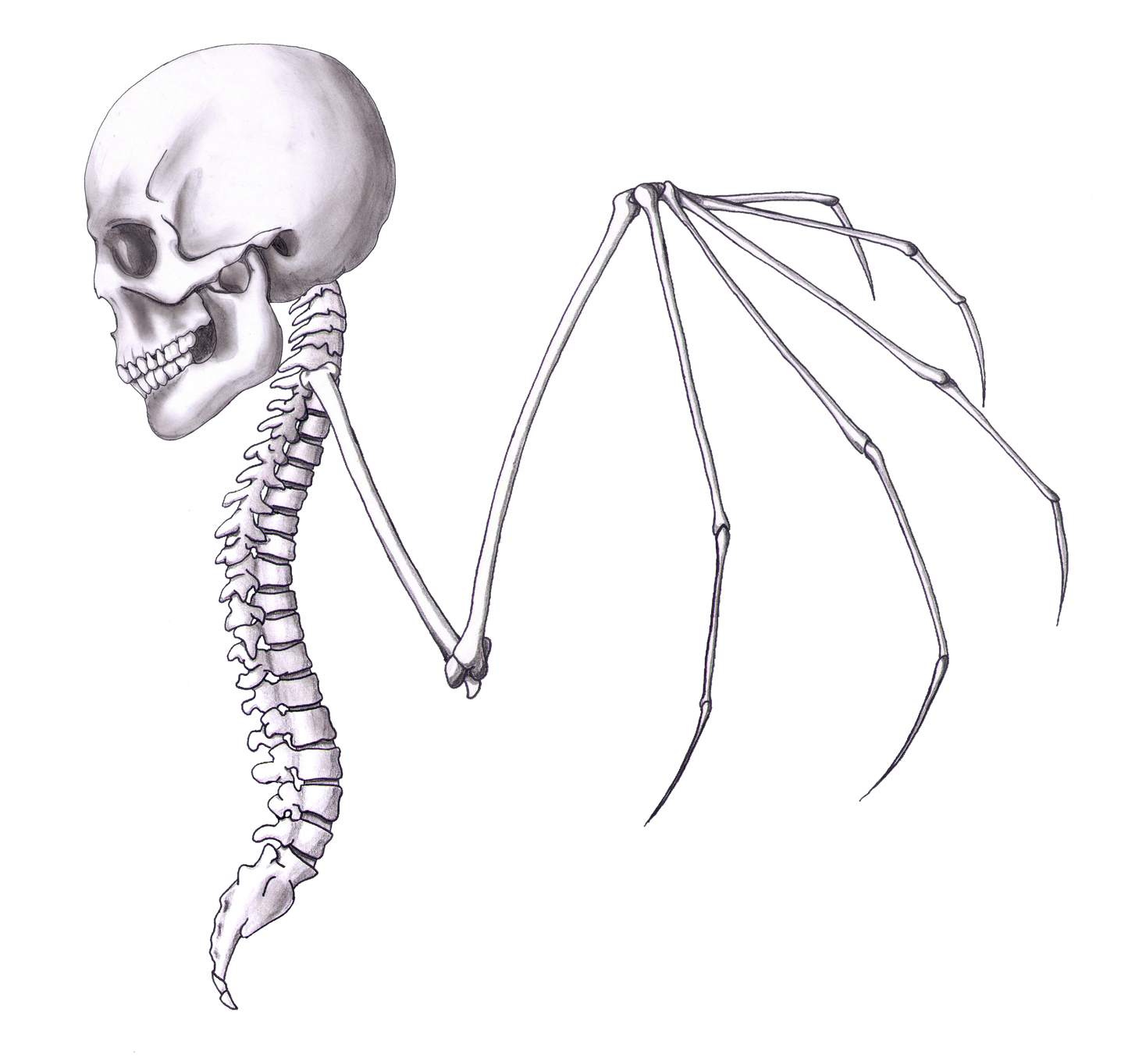 Skullwing 2 Print, Print - Team Manticore