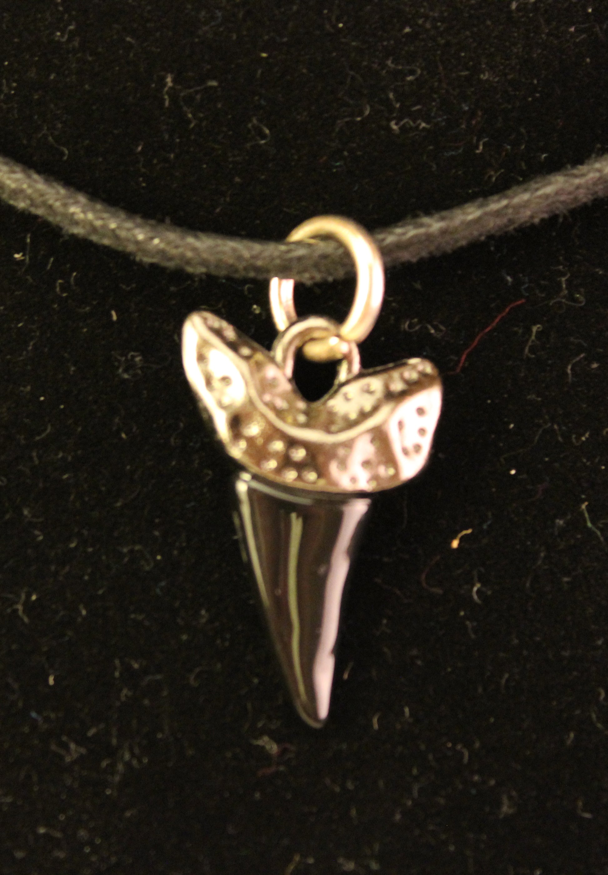 Sharktooth Necklace, Jewelry - Team Manticore