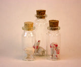 Jar of Teeth