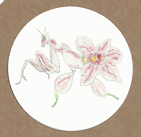 Mutant Orchid Mantis Sticker, Sticker - Team Manticore